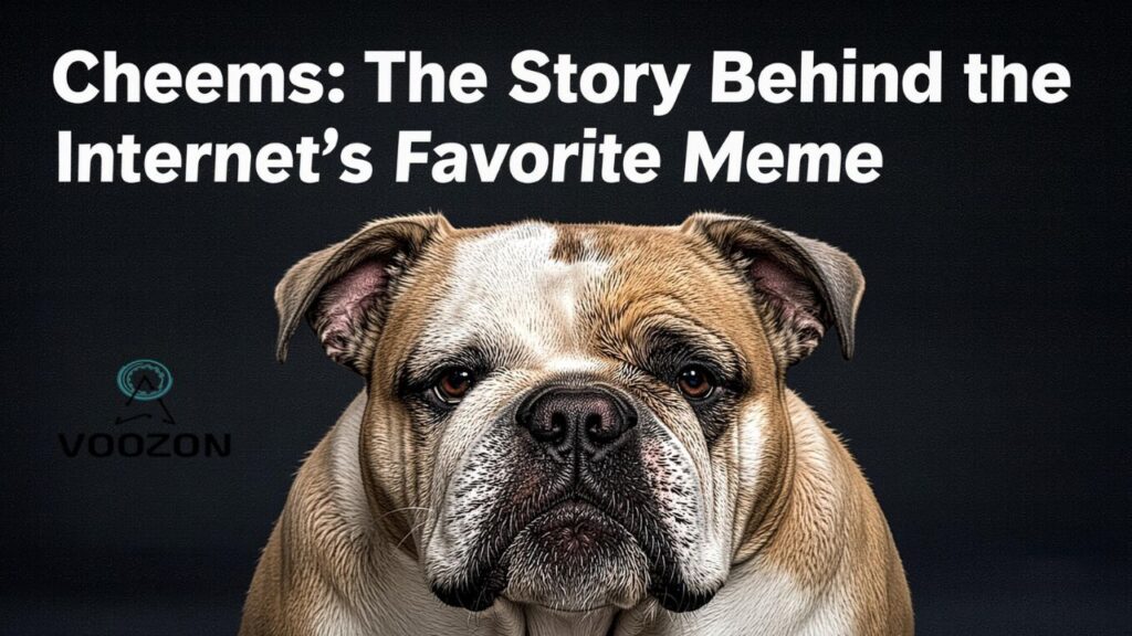 Cheems The Story Behind the Internet’s Favorite Meme